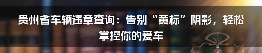 贵州省车辆违章查询：告别“黄标”阴影，轻松掌控你的爱车