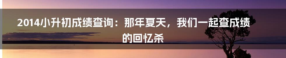 2014小升初成绩查询：那年夏天，我们一起查成绩的回忆杀