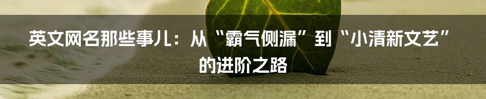 英文网名那些事儿：从“霸气侧漏”到“小清新文艺”的进阶之路