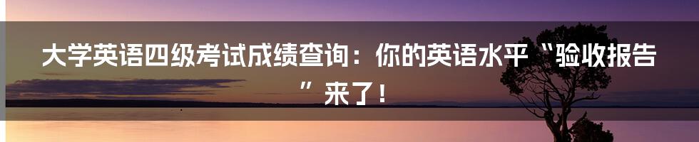 大学英语四级考试成绩查询：你的英语水平“验收报告”来了！