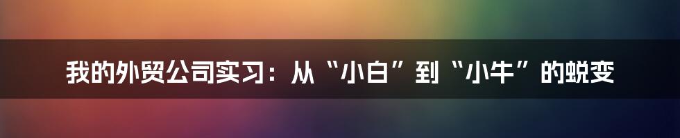 我的外贸公司实习:从“小白”到“小牛”的蜕变