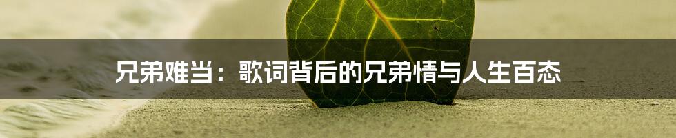兄弟难当：歌词背后的兄弟情与人生百态