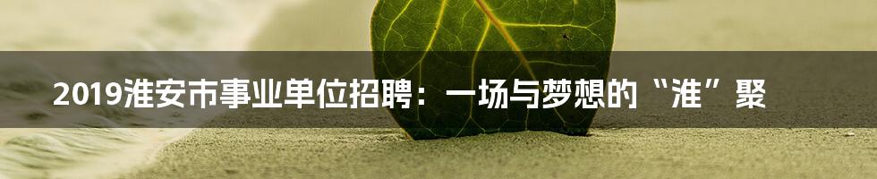 2019淮安市事业单位招聘:一场与梦想的“淮”聚