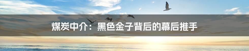 煤炭中介:黑色金子背后的幕后推手
