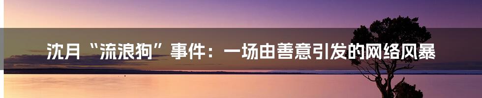 沈月“流浪狗”事件：一场由善意引发的网络风暴