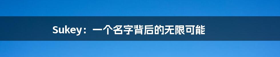 Sukey：一个名字背后的无限可能