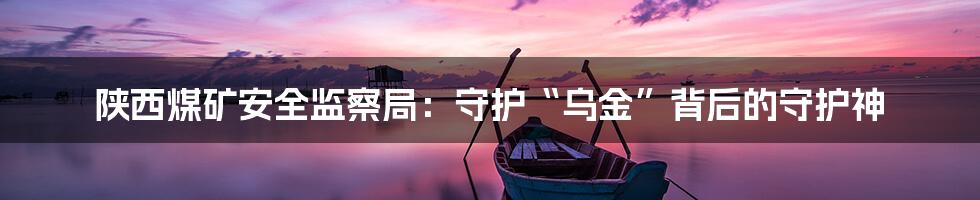 陕西煤矿安全监察局:守护“乌金”背后的守护神