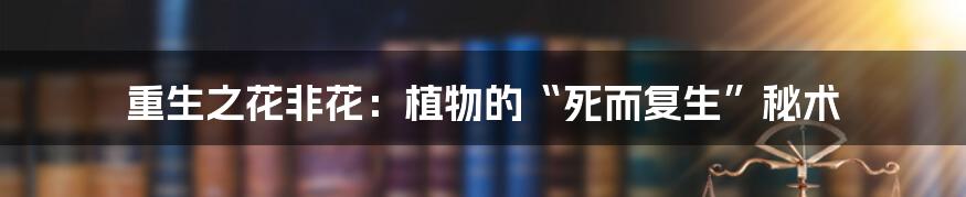 重生之花非花：植物的“死而复生”秘术