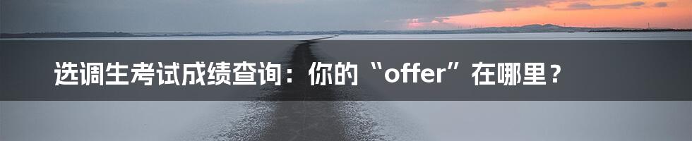 选调生考试成绩查询：你的“offer”在哪里？