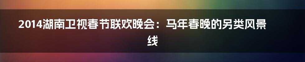 2014湖南卫视春节联欢晚会：马年春晚的另类风景线