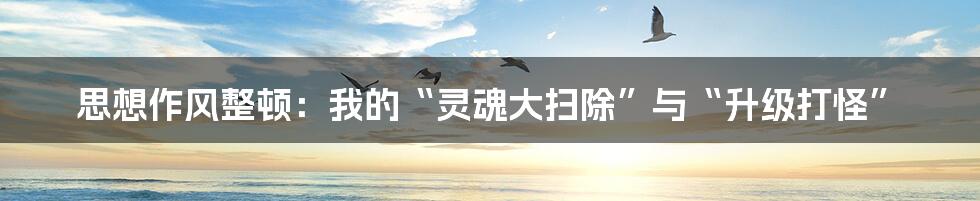 思想作风整顿：我的“灵魂大扫除”与“升级打怪”