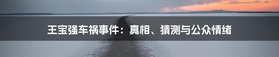 王宝强车祸事件:真相、猜测与公众情绪