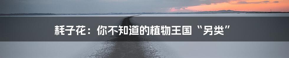 耗子花：你不知道的植物王国“另类”