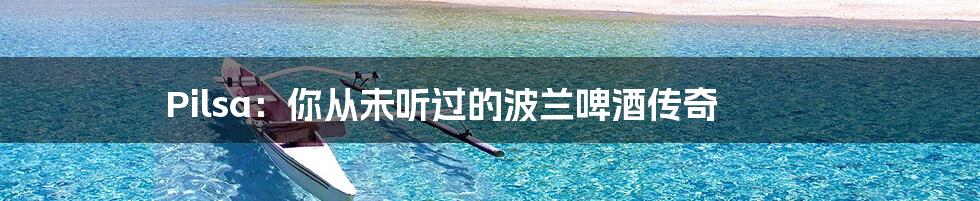 Pilsa:你从未听过的波兰啤酒传奇
