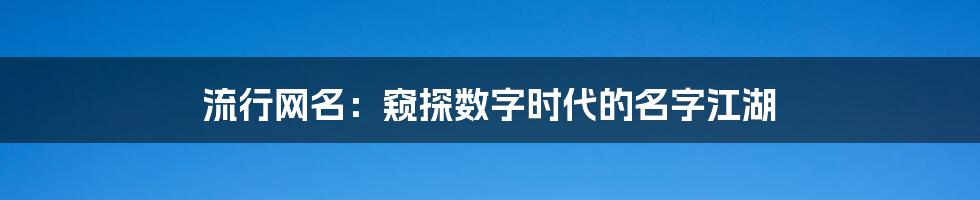 流行网名：窥探数字时代的名字江湖