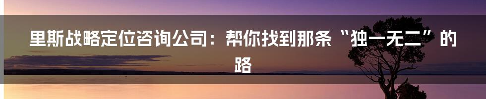 里斯战略定位咨询公司：帮你找到那条“独一无二”的路