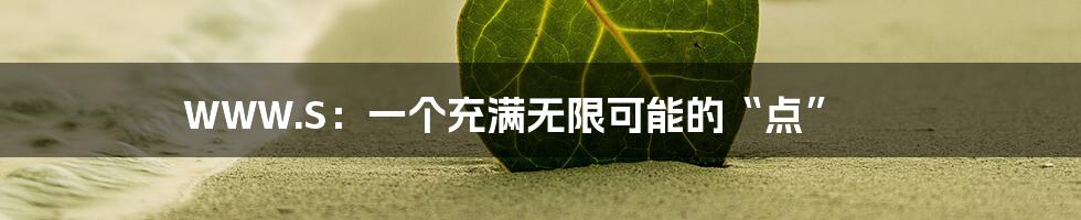 WWW.S：一个充满无限可能的“点”