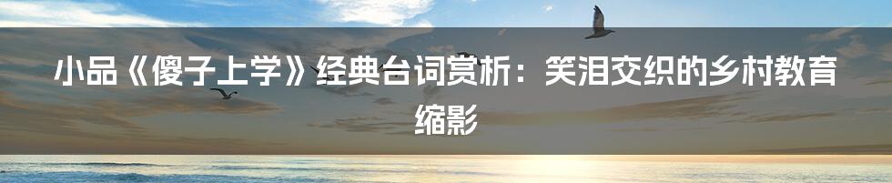 小品《傻子上学》经典台词赏析：笑泪交织的乡村教育缩影