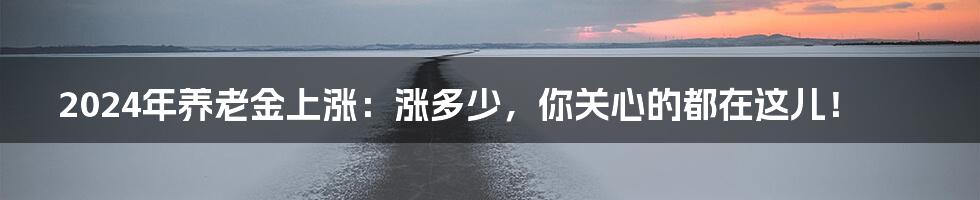 2024年养老金上涨:涨多少,你关心的都在这儿!