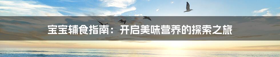 宝宝辅食指南:开启美味营养的探索之旅