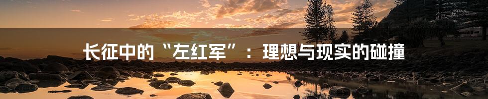 长征中的“左红军”:理想与现实的碰撞