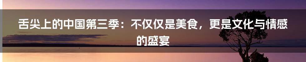 舌尖上的中国第三季：不仅仅是美食，更是文化与情感的盛宴
