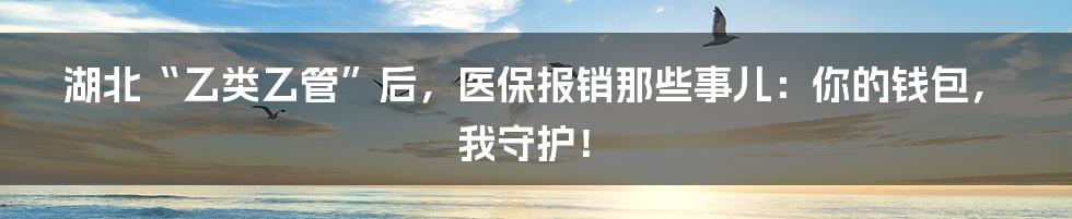 湖北“乙类乙管”后，医保报销那些事儿：你的钱包，我守护！