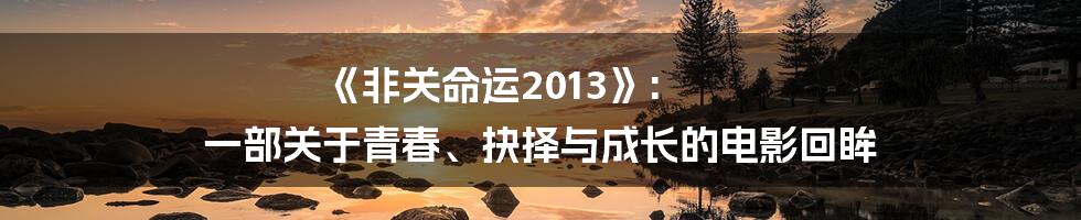 《非关命运2013》: 一部关于青春、抉择与成长的电影回眸