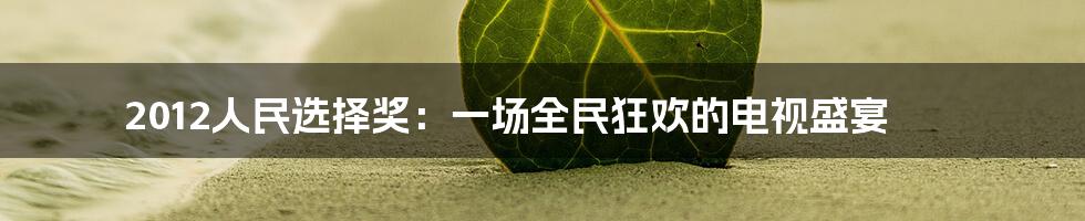 2012人民选择奖：一场全民狂欢的电视盛宴