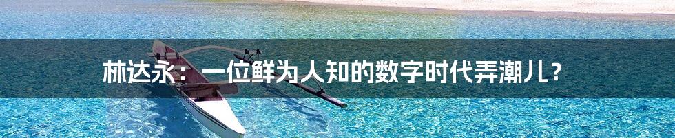 林达永:一位鲜为人知的数字时代弄潮儿?