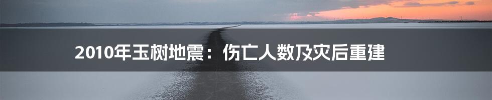 2010年玉树地震：伤亡人数及灾后重建
