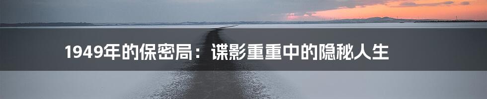 1949年的保密局：谍影重重中的隐秘人生