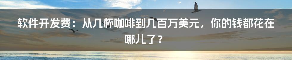 软件开发费:从几杯咖啡到几百万美元,你的钱都花在哪儿了?