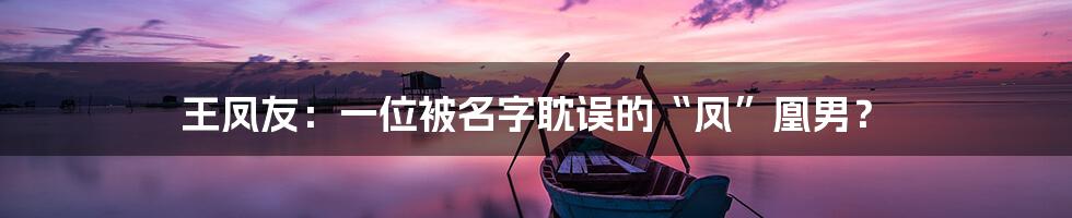 王凤友:一位被名字耽误的“凤”凰男?