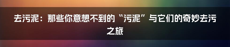 去污泥:那些你意想不到的“污泥”与它们的奇妙去污之旅