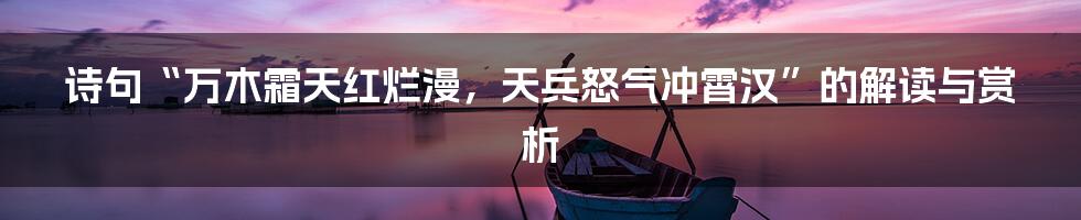 诗句“万木霜天红烂漫，天兵怒气冲霄汉”的解读与赏析