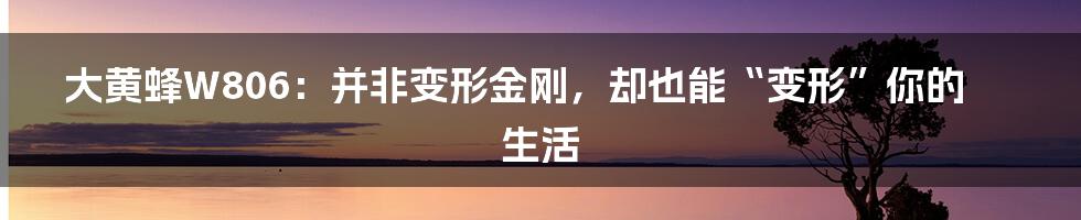 大黄蜂W806：并非变形金刚，却也能“变形”你的生活