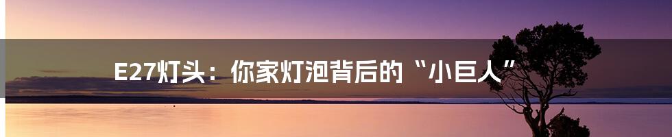 E27灯头:你家灯泡背后的“小巨人”