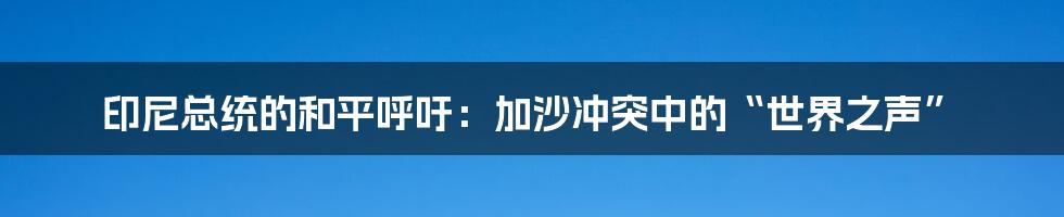 印尼总统的和平呼吁:加沙冲突中的“世界之声”