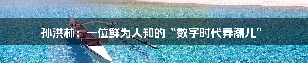 孙洪林：一位鲜为人知的“数字时代弄潮儿”