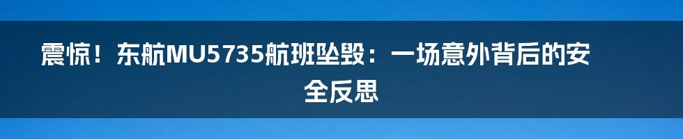 震惊！东航MU5735航班坠毁：一场意外背后的安全反思