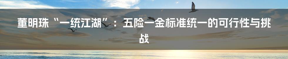 董明珠“一统江湖”：五险一金标准统一的可行性与挑战