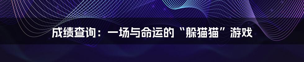 成绩查询：一场与命运的“躲猫猫”游戏