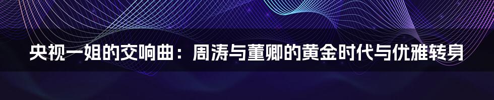央视一姐的交响曲:周涛与董卿的黄金时代与优雅转身
