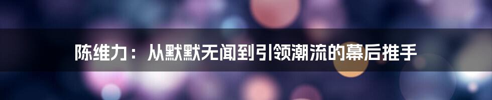 陈维力:从默默无闻到引领潮流的幕后推手