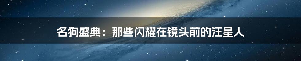 名狗盛典:那些闪耀在镜头前的汪星人