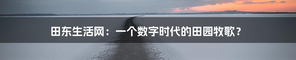 田东生活网:一个数字时代的田园牧歌?