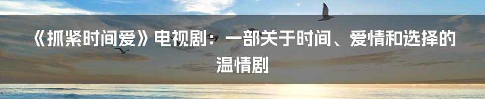 《抓紧时间爱》电视剧：一部关于时间、爱情和选择的温情剧