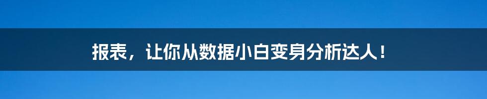 报表,让你从数据小白变身分析达人!