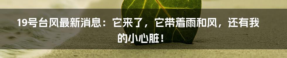 19号台风最新消息:它来了,它带着雨和风,还有我的小心脏!